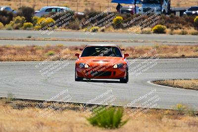media/Nov-16-2024-Extreme Speed (Sat) [[6587d07cc4]]/Gold Group/Session 2 (Turns 3 and 5)/